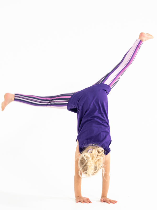 Leggings no. NS-142 Purple Stripe