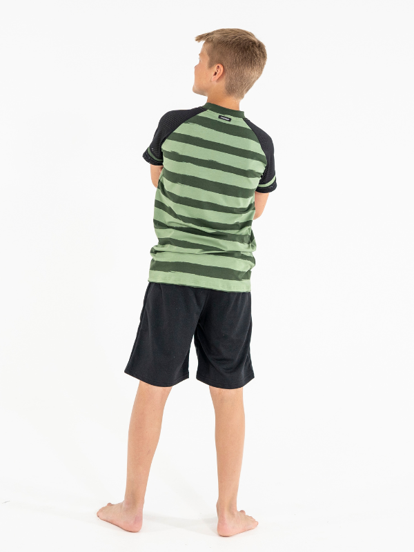 T-shirt | NS-169 Green Stripes