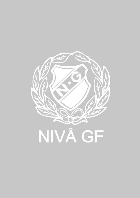 Logotyp för nivå