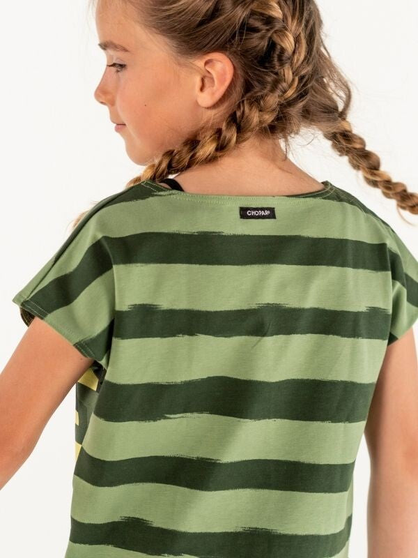 Top | NS-163 Green Stripes